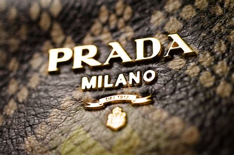 about prada|who owns prada brand.